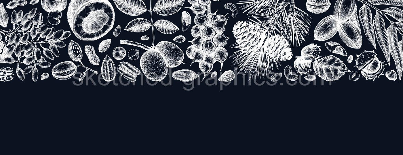 Vector nuts banner on chalkboard. Vintage nuts background in sketched style. Healthy food ingredients template with botanical illustrations. Realistic branches, plants, fruits, nutshells sketches. Illustration